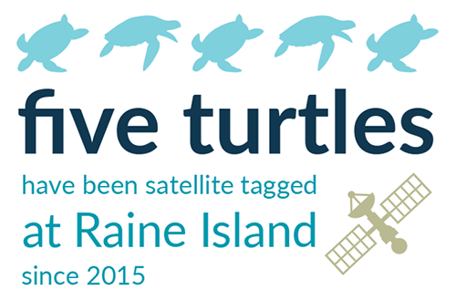 Five turtles (Nam) have been satellite tagged at Raine Island (Bub warwar kaur) since 2015