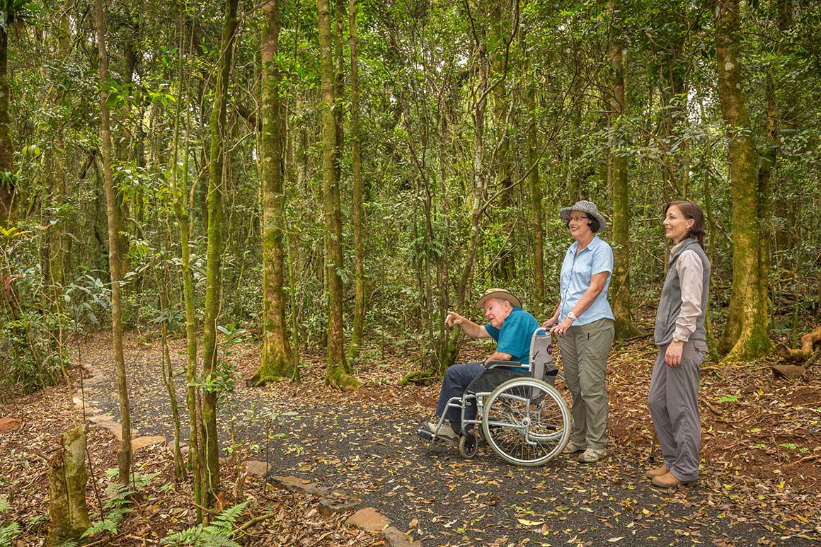 Visitor in wheelchair with two adults on walking track amidst shady open forest. 