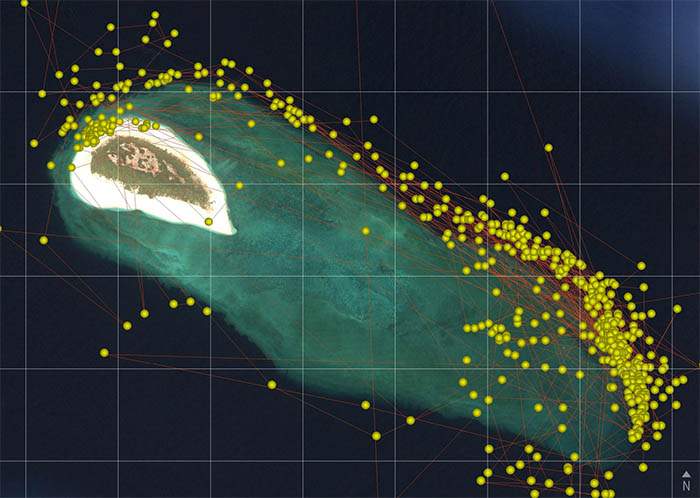 Satellite map showing movements of Turturi, a female green turtle fitted with a satellite tracker on 3 November 2016