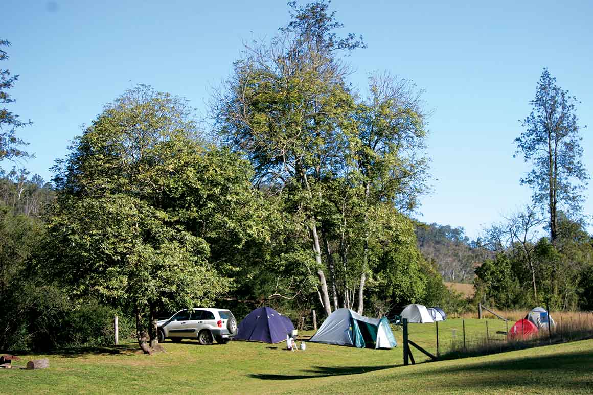 A grassy open space is dotted with colourful tents, against a backdrop of tall trees