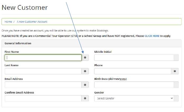 Screenshot of New Customer screen where you enter your name, email address and phone information.