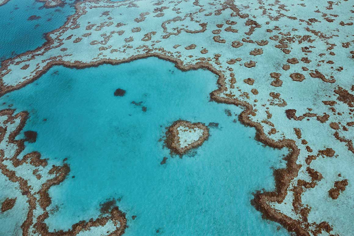 Aerial photograph of heart-shaped reef in turquoise waters. 