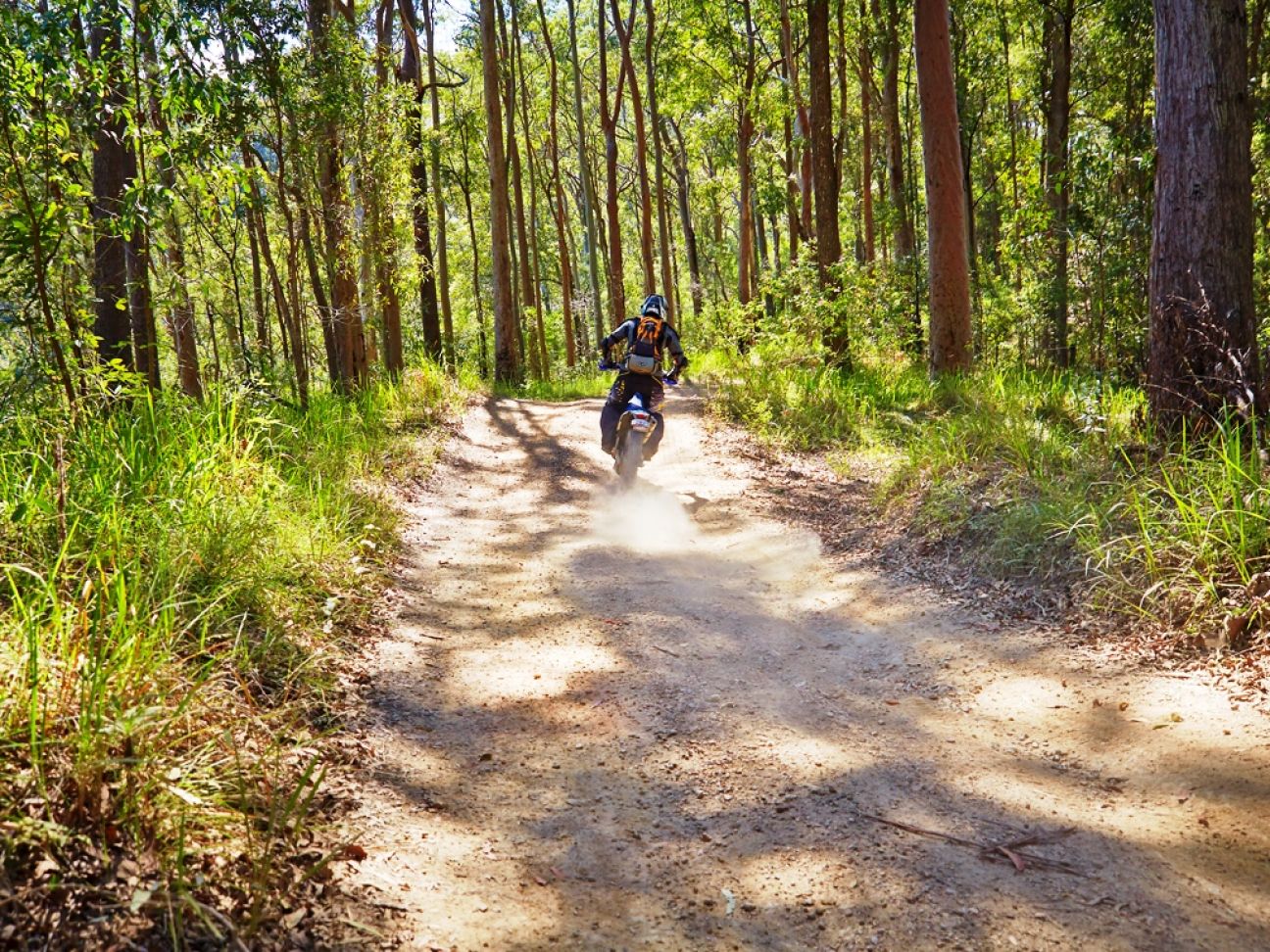 Trail-bike riding, Parks and forests