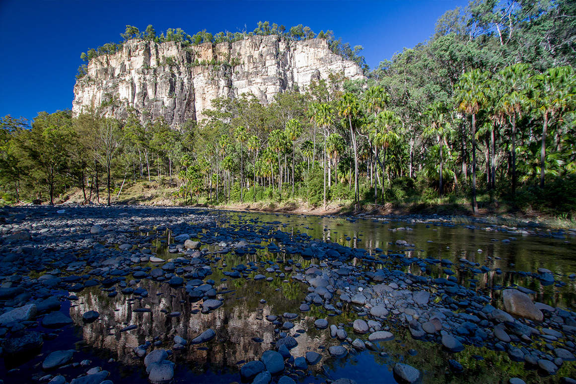 A dark creek dotted with rocks and fringed by palmtrees leads way to a towering sandstone gorge.