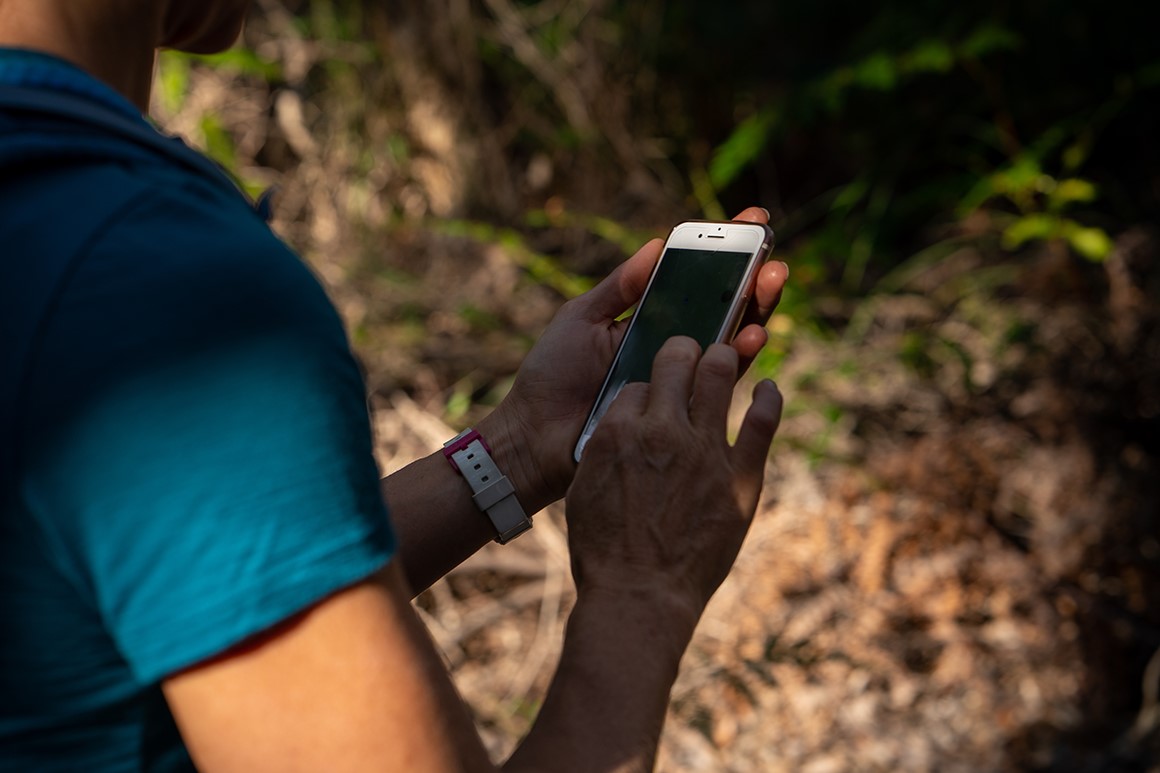 A female hiker wearing a blue T-shirt is typing on her smartphone. 