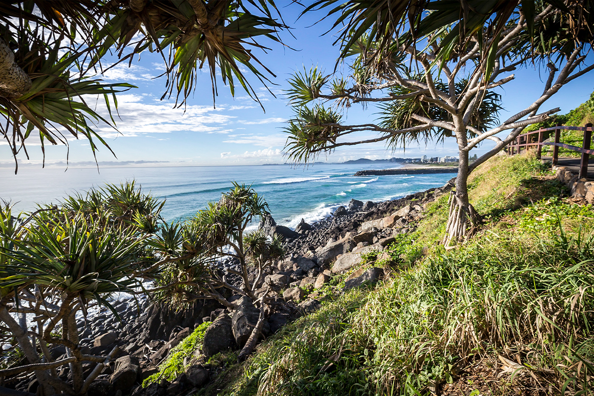 A coastal landscape with pandanus trees, a rocky foreshore and blue ocean dotted with white waves, framed by a fenced boardwalk off to the right.