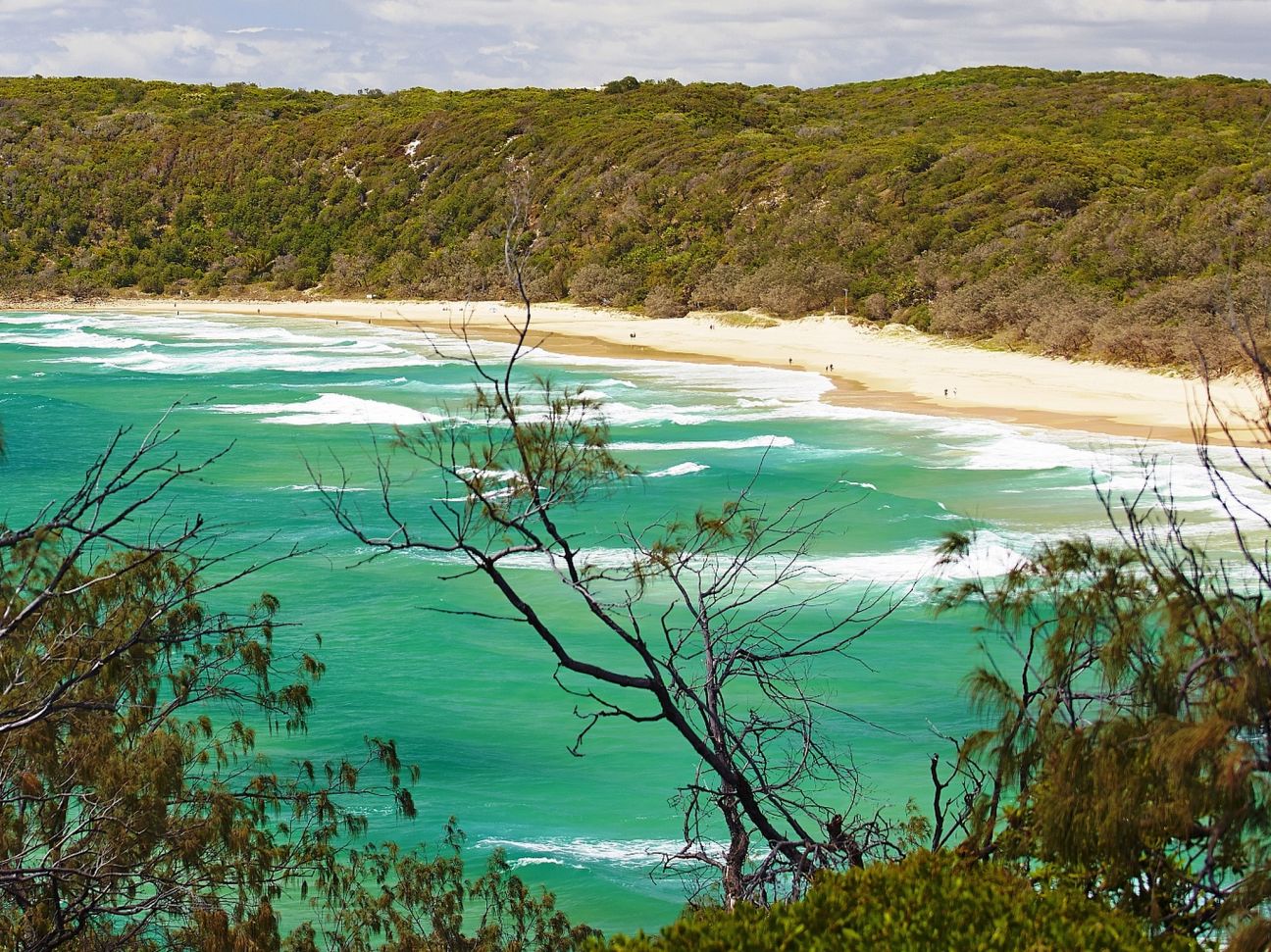 Coastal Walk | Noosa National Park | Parks and forests | Department of ...