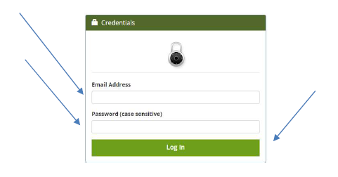 Screenshot of credentials box that comes up once you have entered your email address and password.