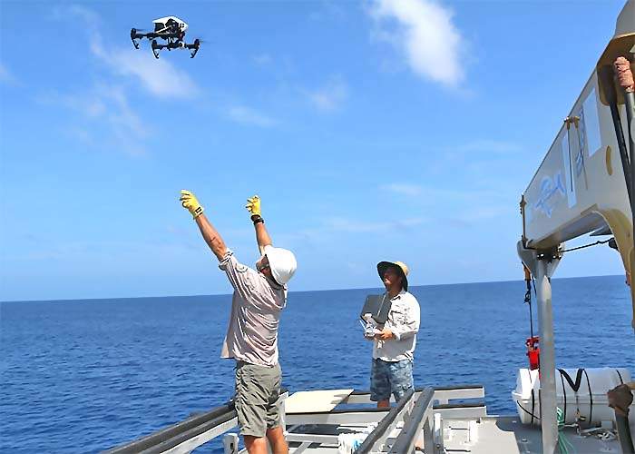 Drones are flown over the the island for aerial research.