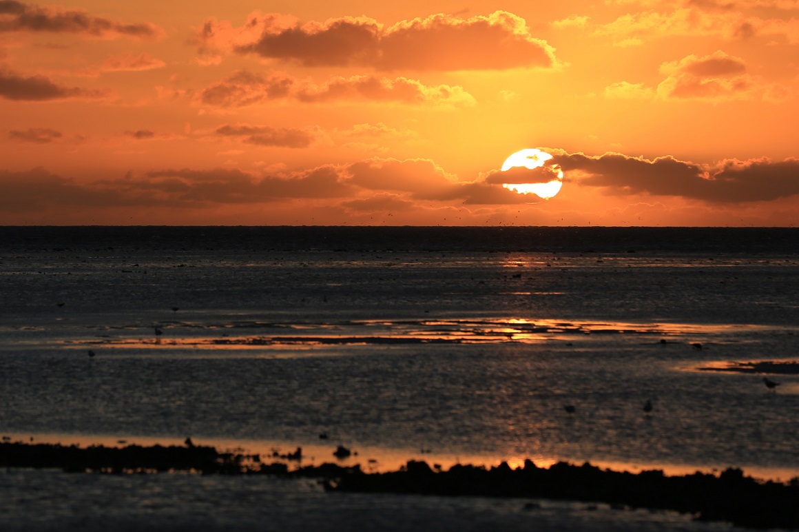 Orange skies with a white globe of a setting sun near the horizon are reflected in the dark indigo of shallow ocean waters against the shoreline.