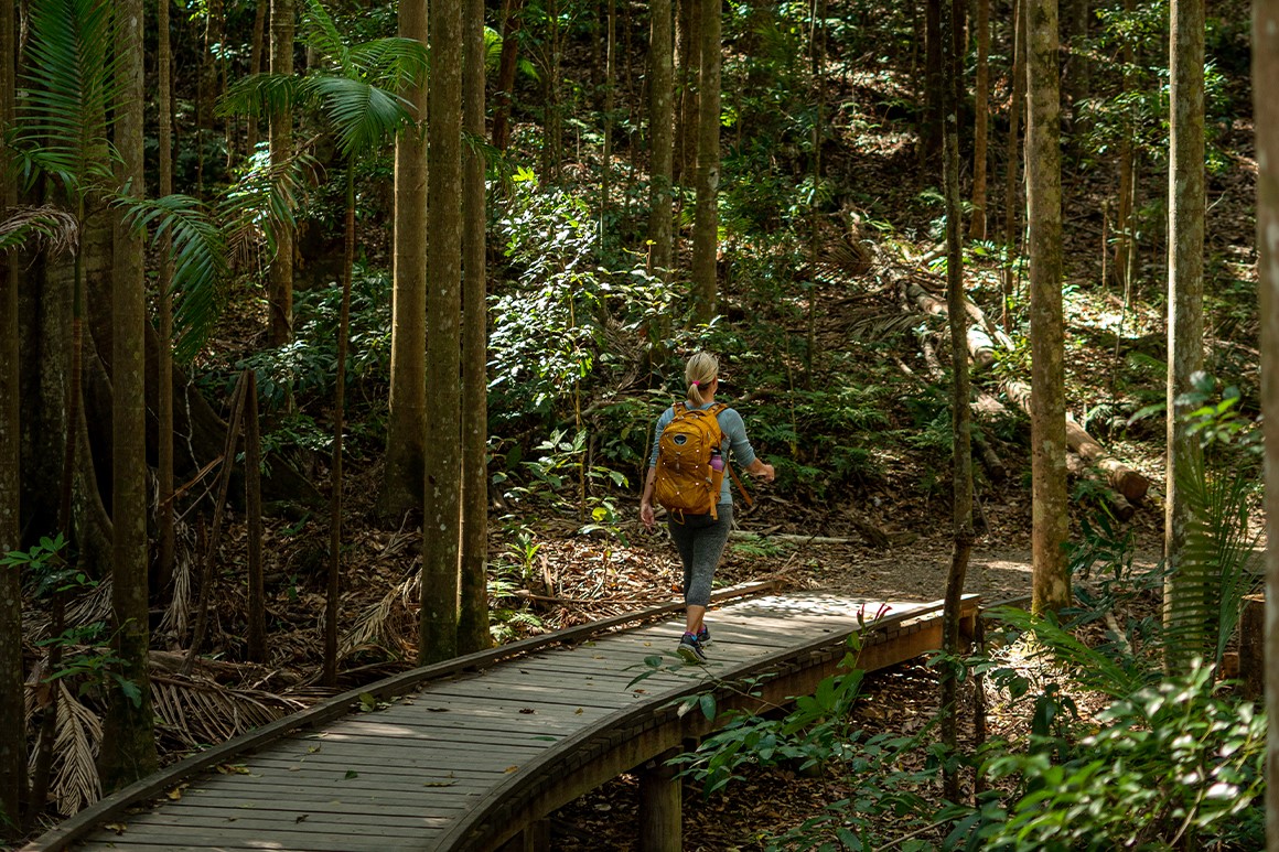 Hiker wearing a yellow backpack is walking across a wooden bridge surrounded by rainforest vegetation. 