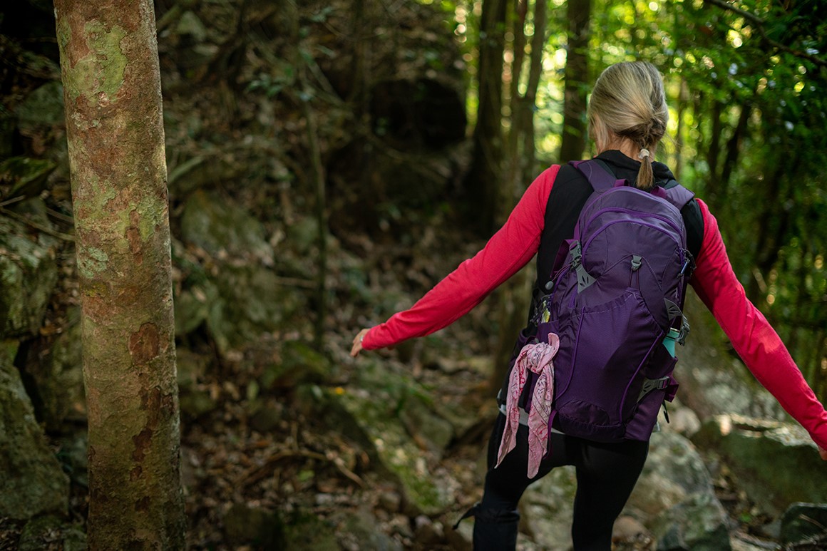 A female hiker in a pink shirt and wearing a purple backpack is walking on a rainforest track. 