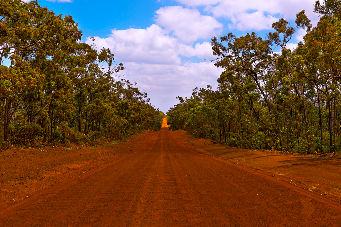 A red dirt road extends to the horizon, flanked by woodland.