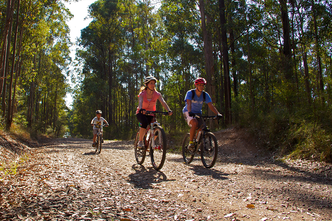 Two adults and one child riding along a leaf-covered forest track bordered by tall green eucalypts.